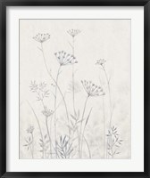 Framed Neutral Queen Anne's Lace I