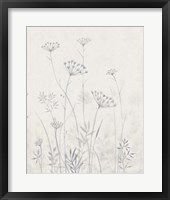 Framed 'Neutral Queen Anne's Lace I' border=