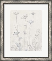 Framed 'Neutral Queen Anne's Lace II' border=