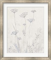 Framed Neutral Queen Anne's Lace II