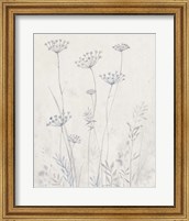 Framed Neutral Queen Anne's Lace II