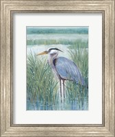 Framed Wetland Heron II