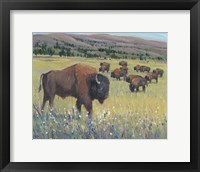 Framed Animals of the West I