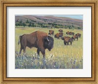 Framed Animals of the West I