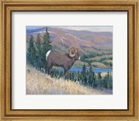 Framed Animals of the West III