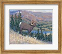 Framed Animals of the West III