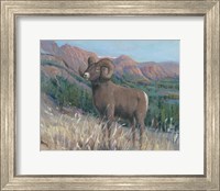 Framed Animals of the West IV