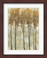 Framed Standing Tall in Autumn I