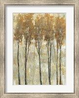 Framed Standing Tall in Autumn I
