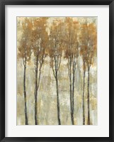 Standing Tall in Autumn I Framed Print