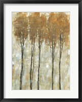 Standing Tall in Autumn II Framed Print