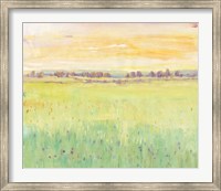 Framed Spring Pasture II