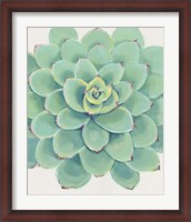 Framed Pastel Succulent III