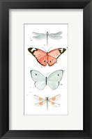 Framed Summer Butterflies I