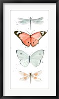 Framed Summer Butterflies I