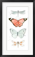 Summer Butterflies I Framed Print