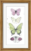 Framed Summer Butterflies II