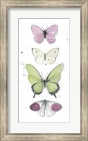 Framed Summer Butterflies II