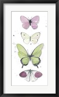 Summer Butterflies II Framed Print