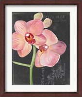 Framed Chalkboard Flower I