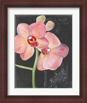 Framed 'Chalkboard Flower I' border=