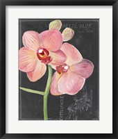 Chalkboard Flower I Framed Print