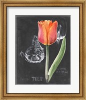 Framed Chalkboard Flower III