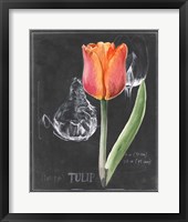 Framed 'Chalkboard Flower III' border=