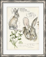 Framed Wildlife Journals II