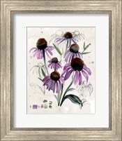 Framed Purple Wildflowers II