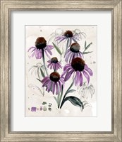 Framed 'Purple Wildflowers II' border=