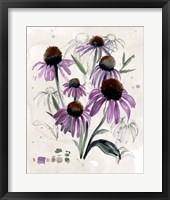 Purple Wildflowers II Framed Print