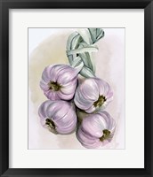 Framed 'Garlic Braid I' border=