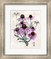 Framed 'Purple Wildflowers I' border=