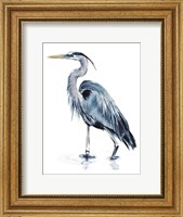 Framed Blue Blue Heron II