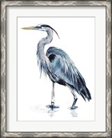 Framed Blue Blue Heron II