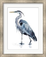 Framed Blue Blue Heron II