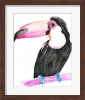 Framed Technicolor Toucan II