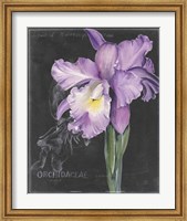 Framed Chalkboard Flower II