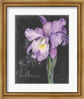 Framed Chalkboard Flower II