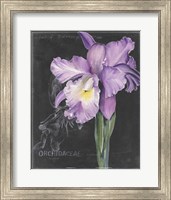 Framed Chalkboard Flower II