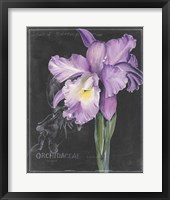 Framed Chalkboard Flower II