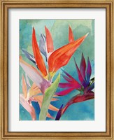 Framed Vivid Birds of Paradise I