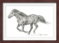 Framed Wild Horse Portrait I