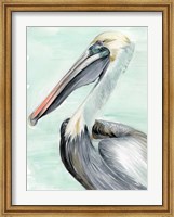 Framed Turquoise Pelican II