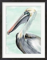 Framed Turquoise Pelican II