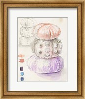 Framed 'Sea Urchin Sketches I' border=