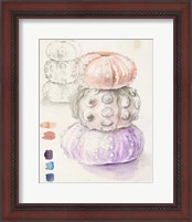 Framed 'Sea Urchin Sketches I' border=