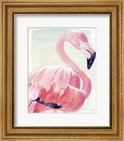 Framed Pastel Flamingo II