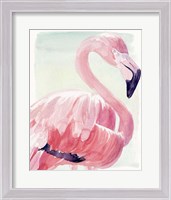 Framed Pastel Flamingo II